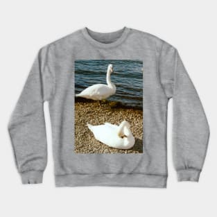 Swan song Crewneck Sweatshirt